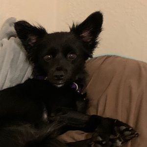 Meet your Posher, Felicita